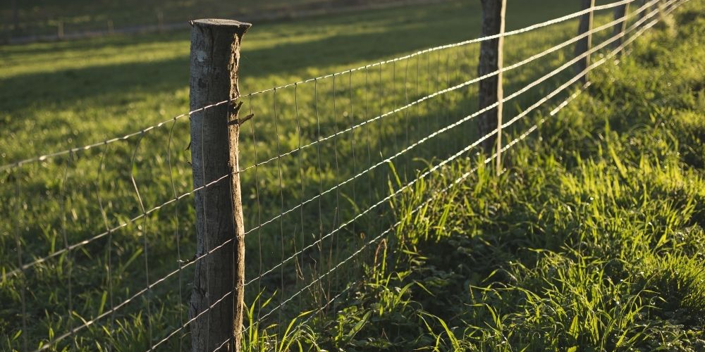 What is a T Post and Why Should You Know About It?